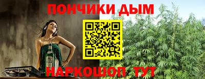 кокс Можга