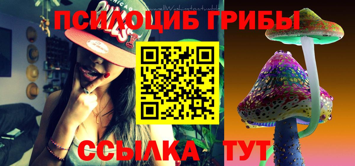 Псилоцибиновые грибы Psilocybe Чистополь